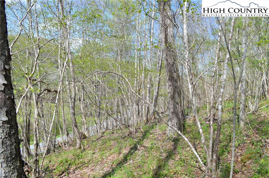 Image number 2 for the current listing