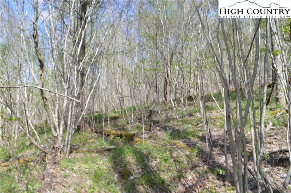 Image number 12 for the current listing