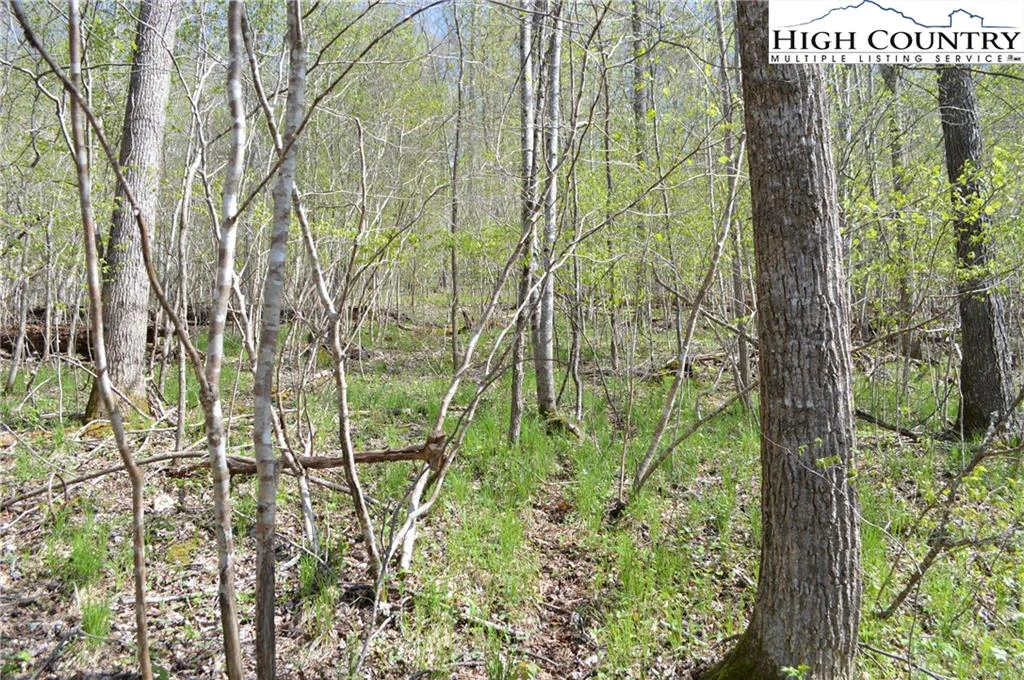 Image number 11 for the current listing
