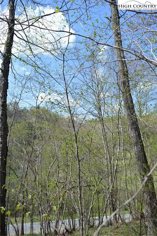 Image number 9 for the current listing