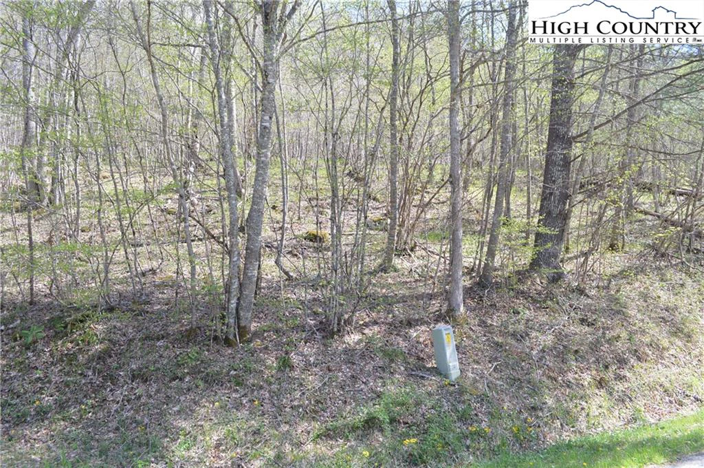 Image number 21 for the current listing