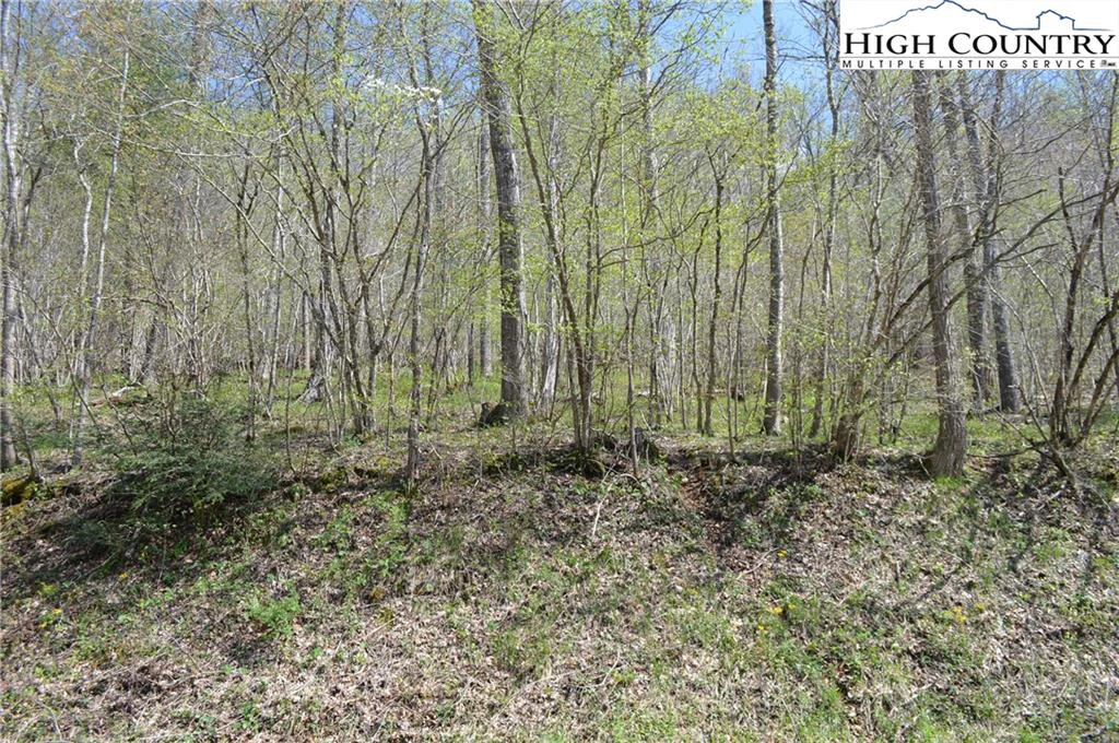 Image number 19 for the current listing