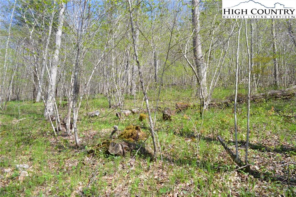 Image number 17 for the current listing
