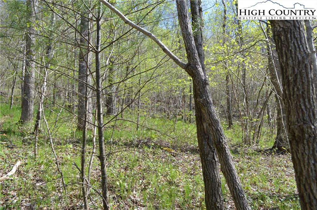 Image number 14 for the current listing