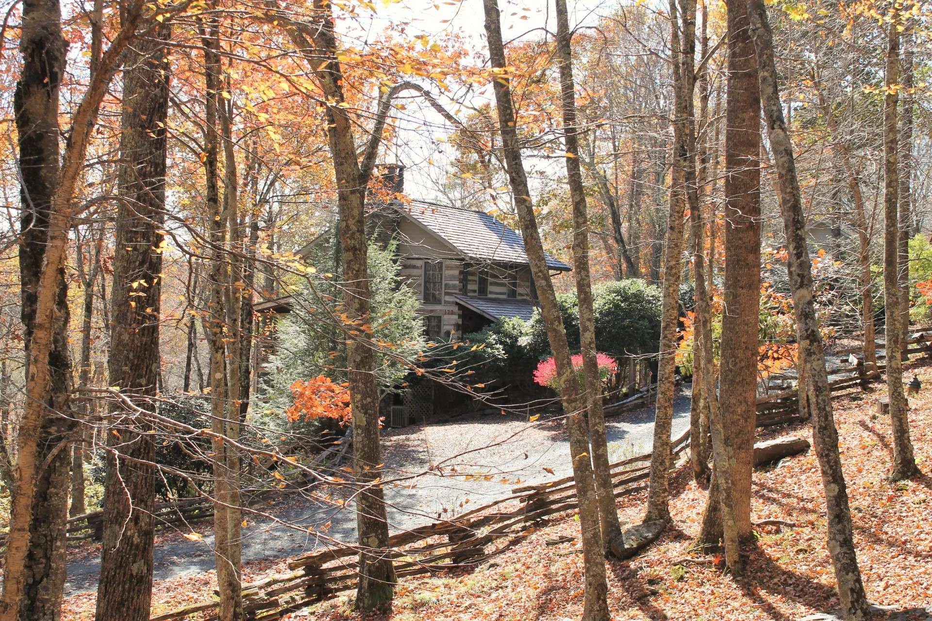 Image number 17 for the current listing