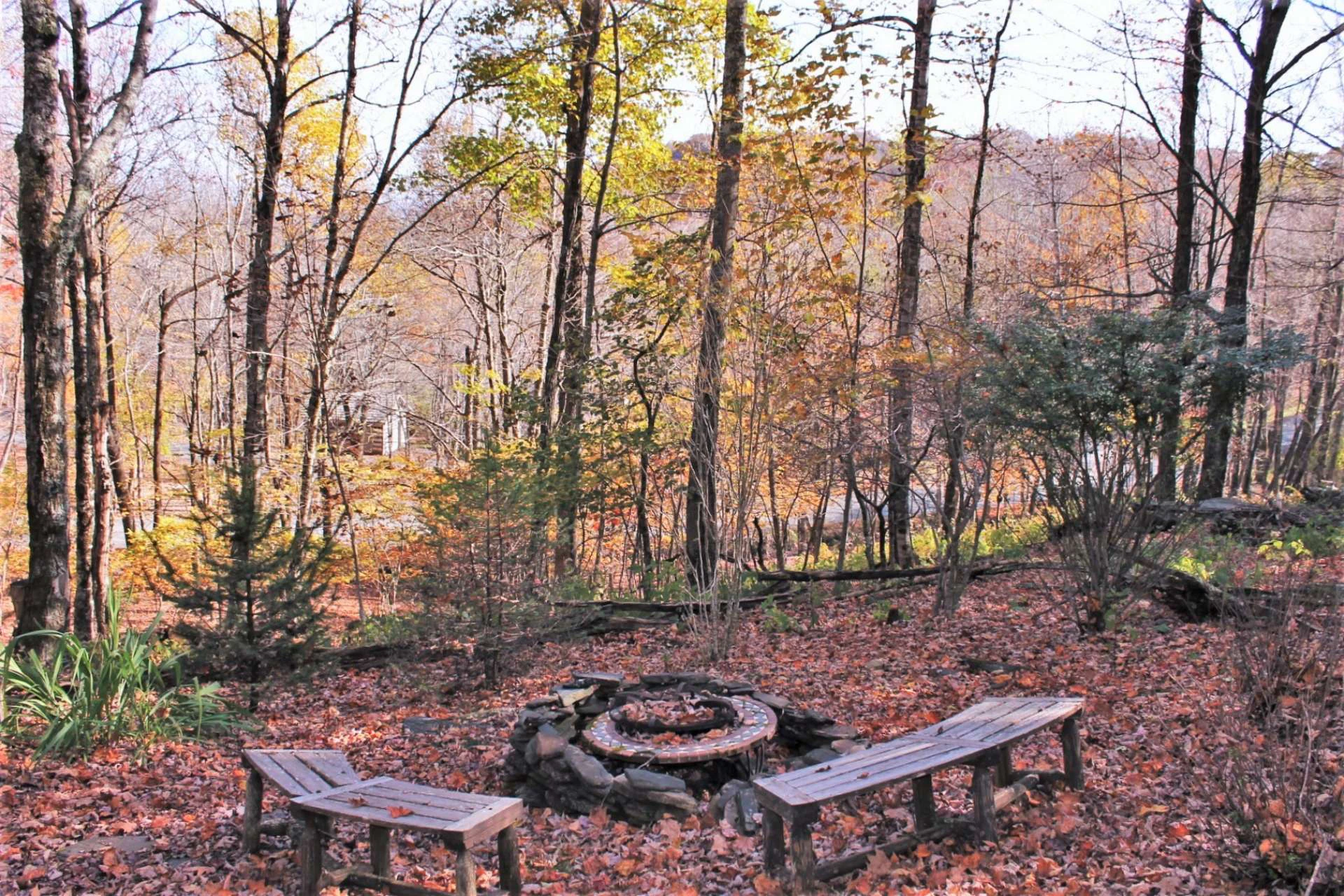 Image number 16 for the current listing