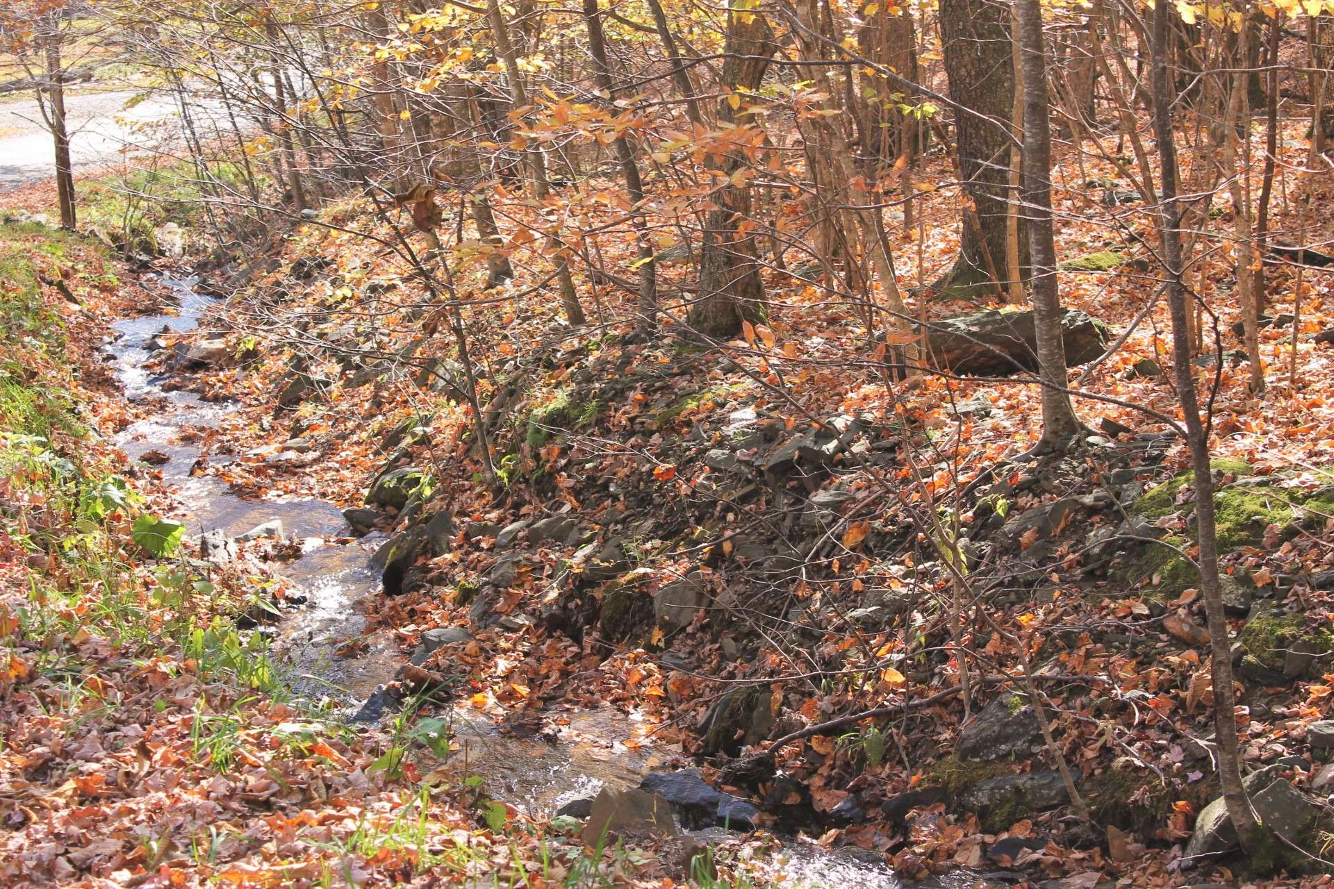 Image number 14 for the current listing