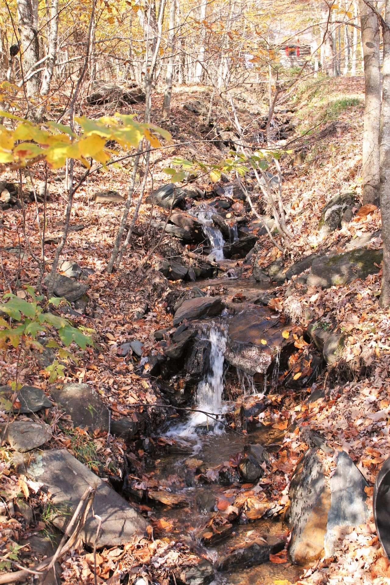 Image number 15 for the current listing