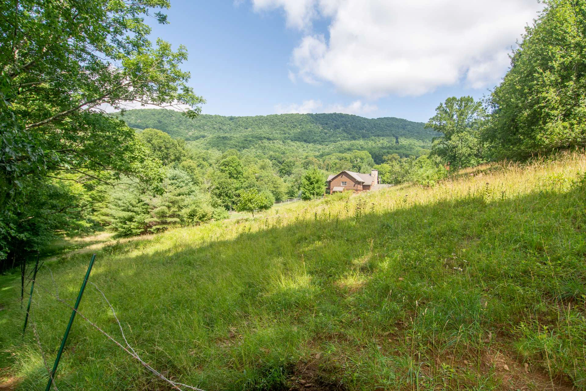 Image number 21 for the current listing