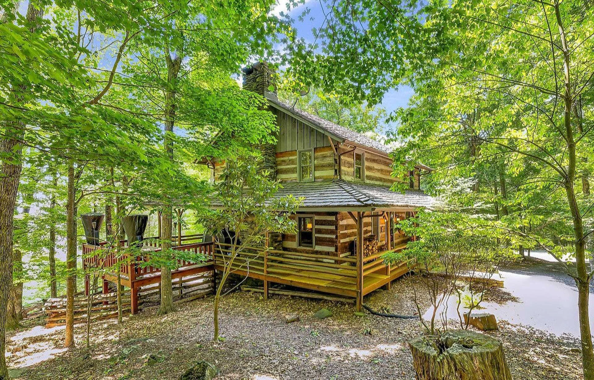 Image number 21 for the current listing