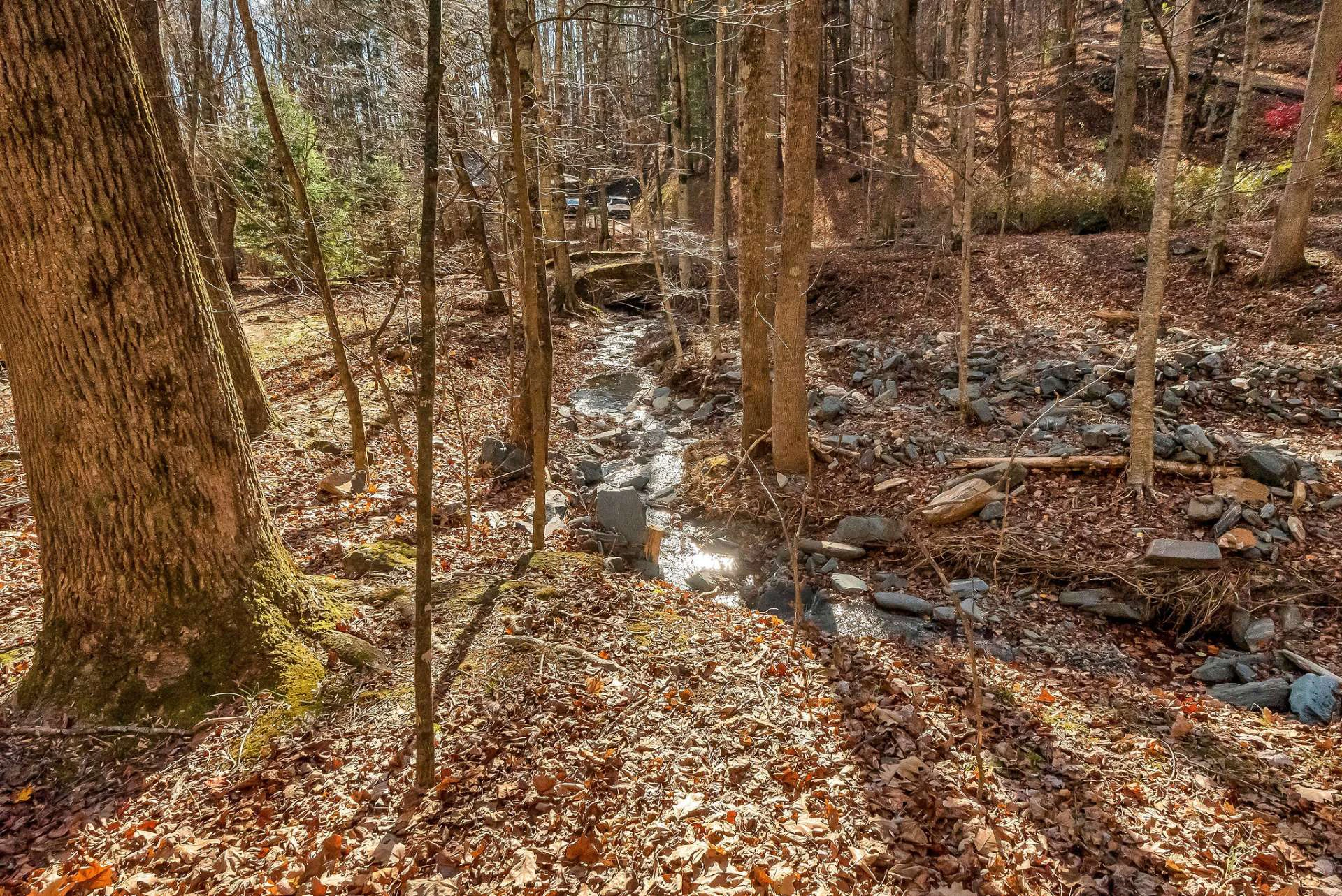 Image number 7 for the current listing