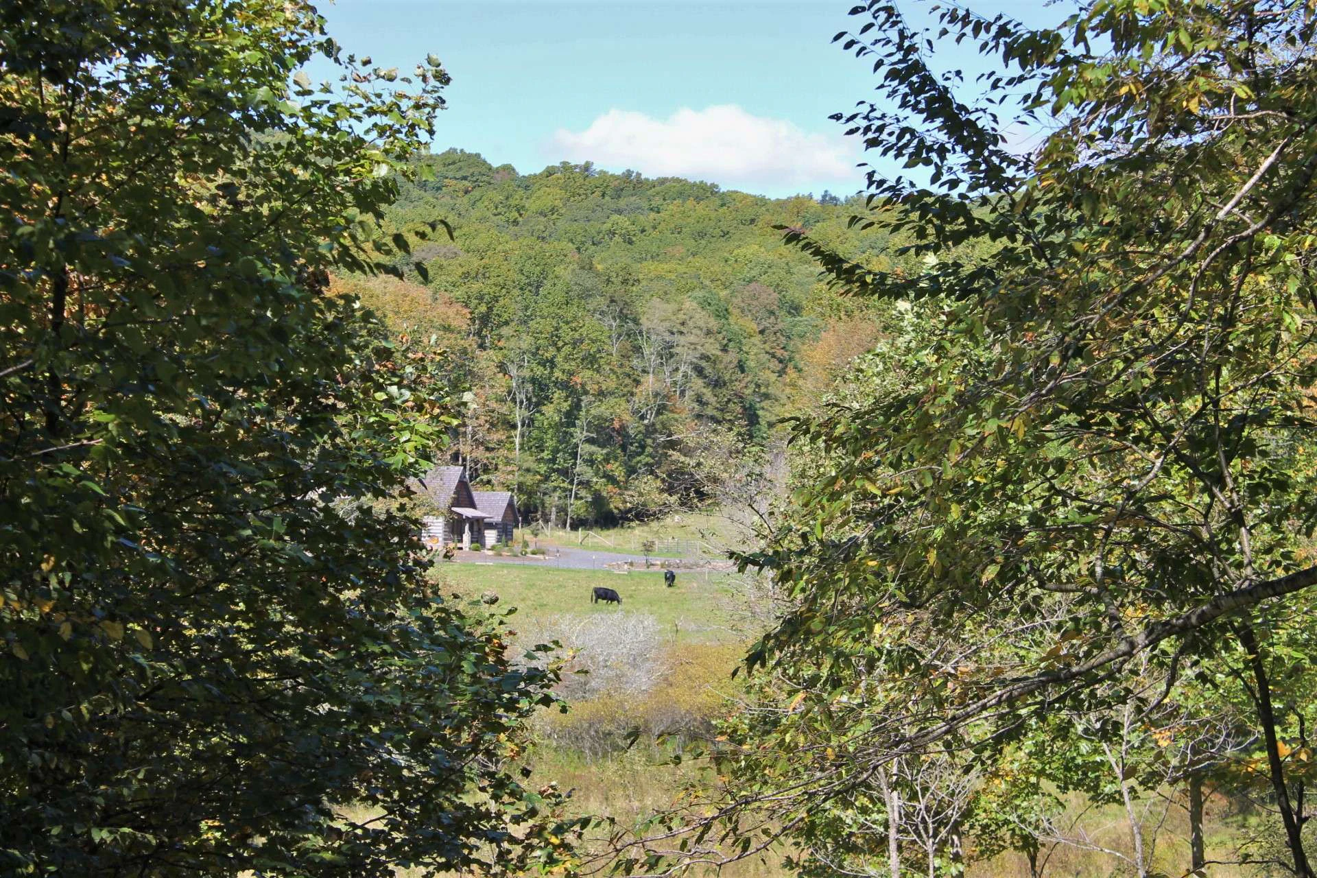 Image number 18 for the current listing