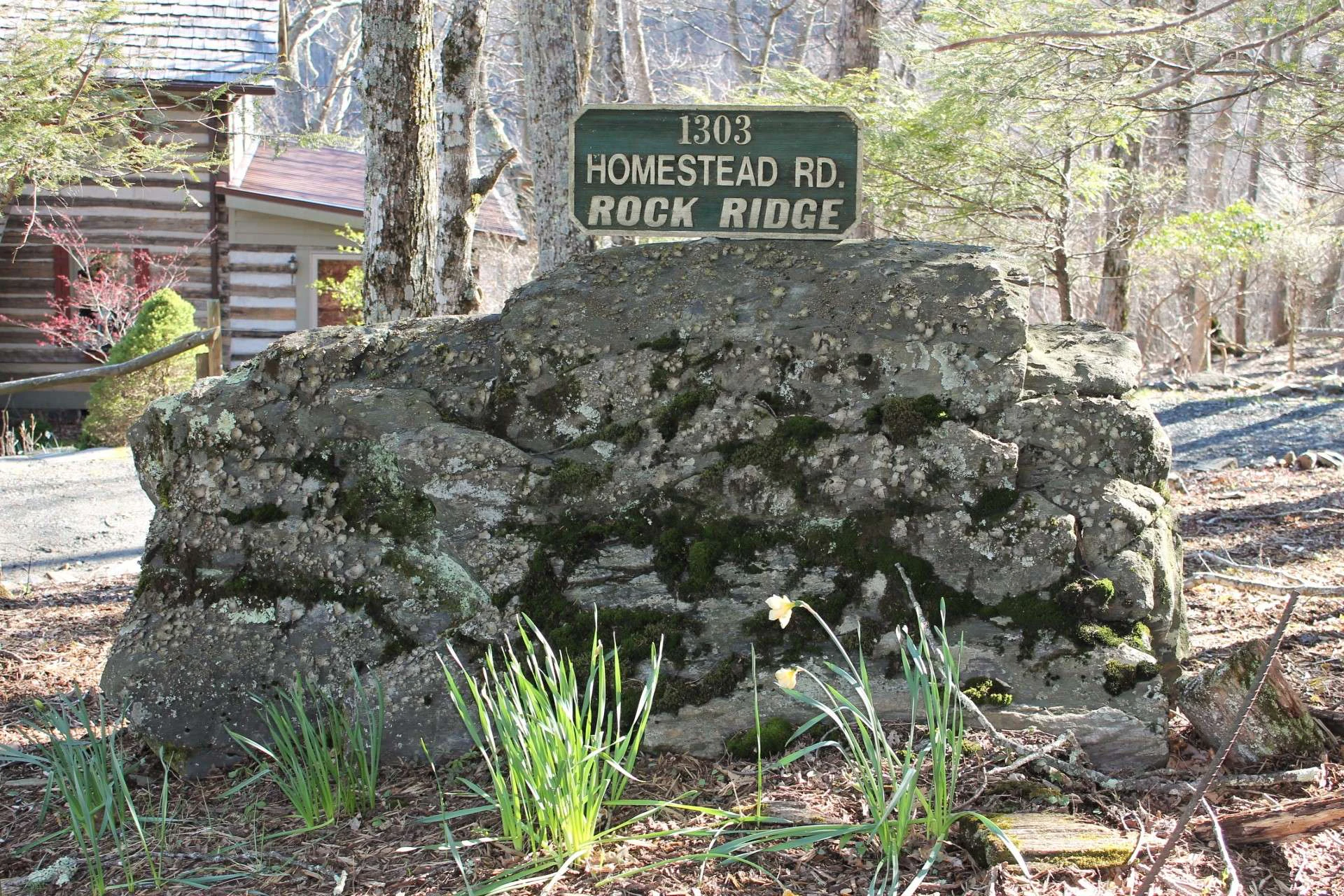 Image number 21 for the current listing