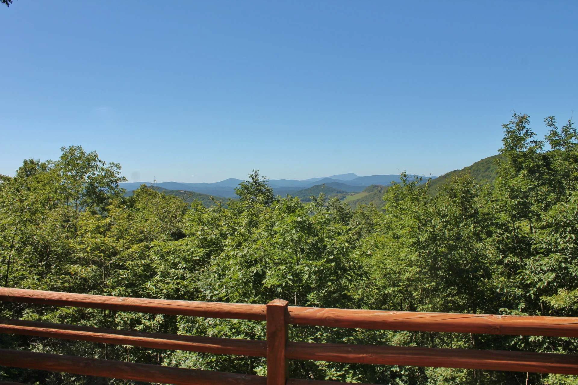 Image number 9 for the current listing