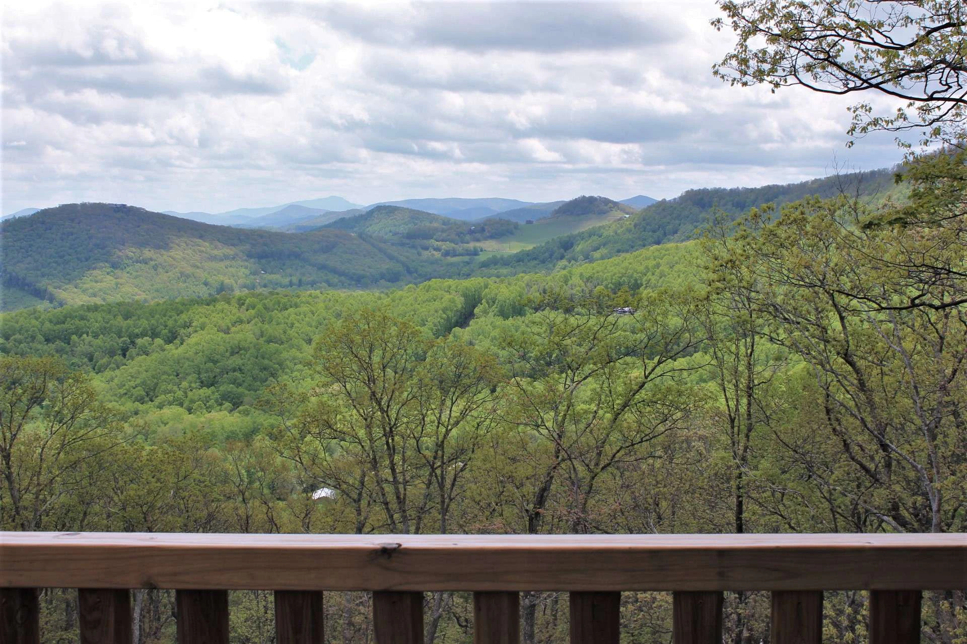 Image number 14 for the current listing