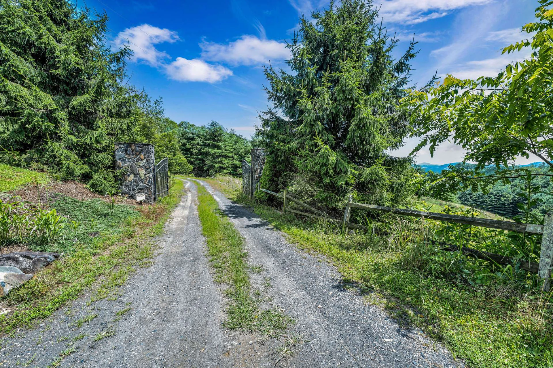 Image number 11 for the current listing