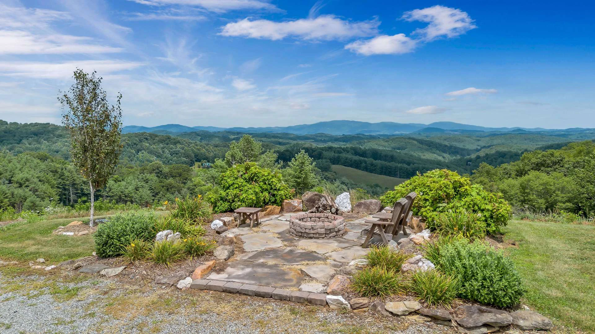 Image number 12 for the current listing