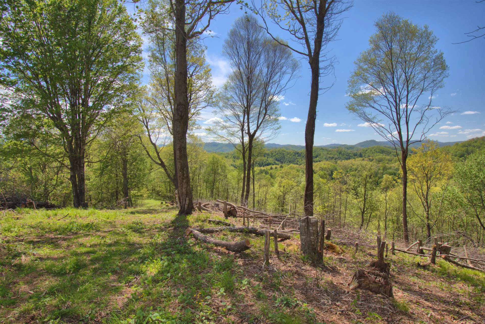 Image number 7 for the current listing