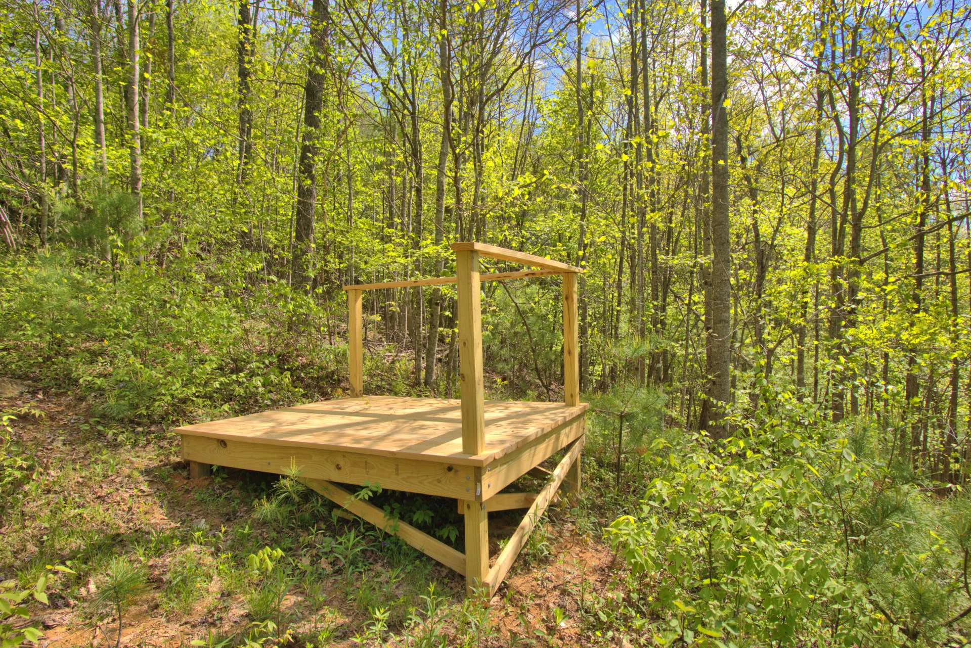 Image number 11 for the current listing