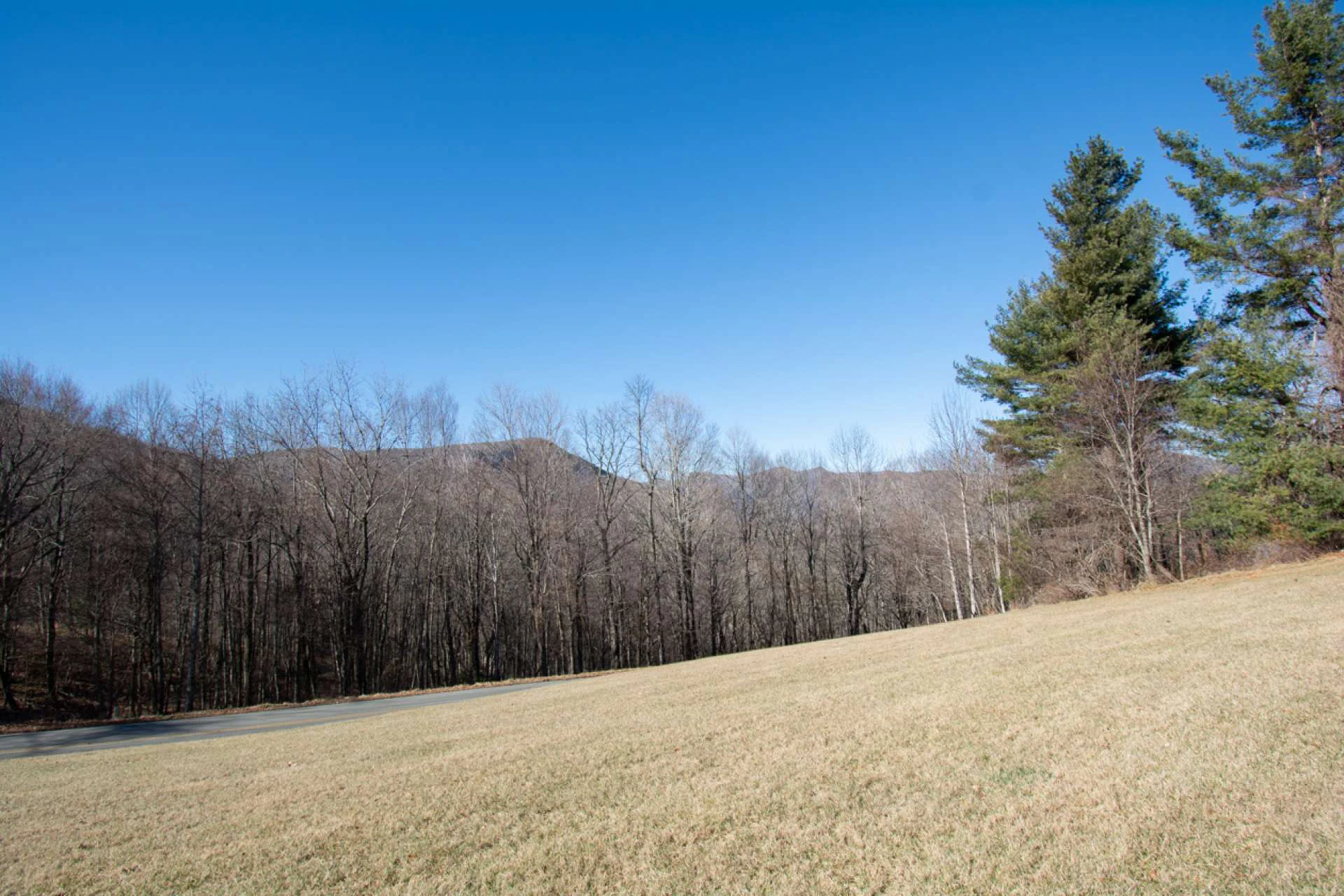 Image number 10 for the current listing