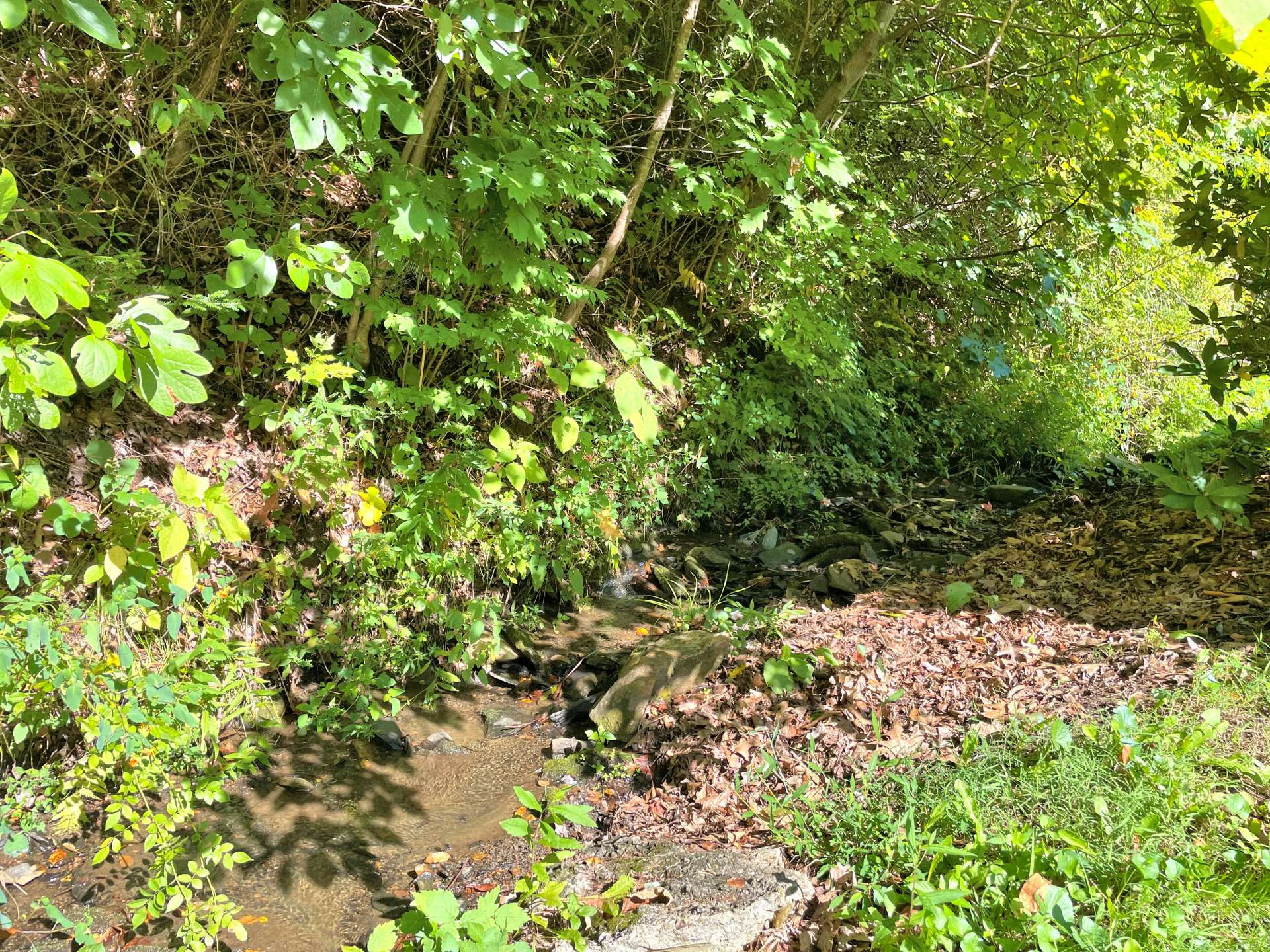 Image number 14 for the current listing