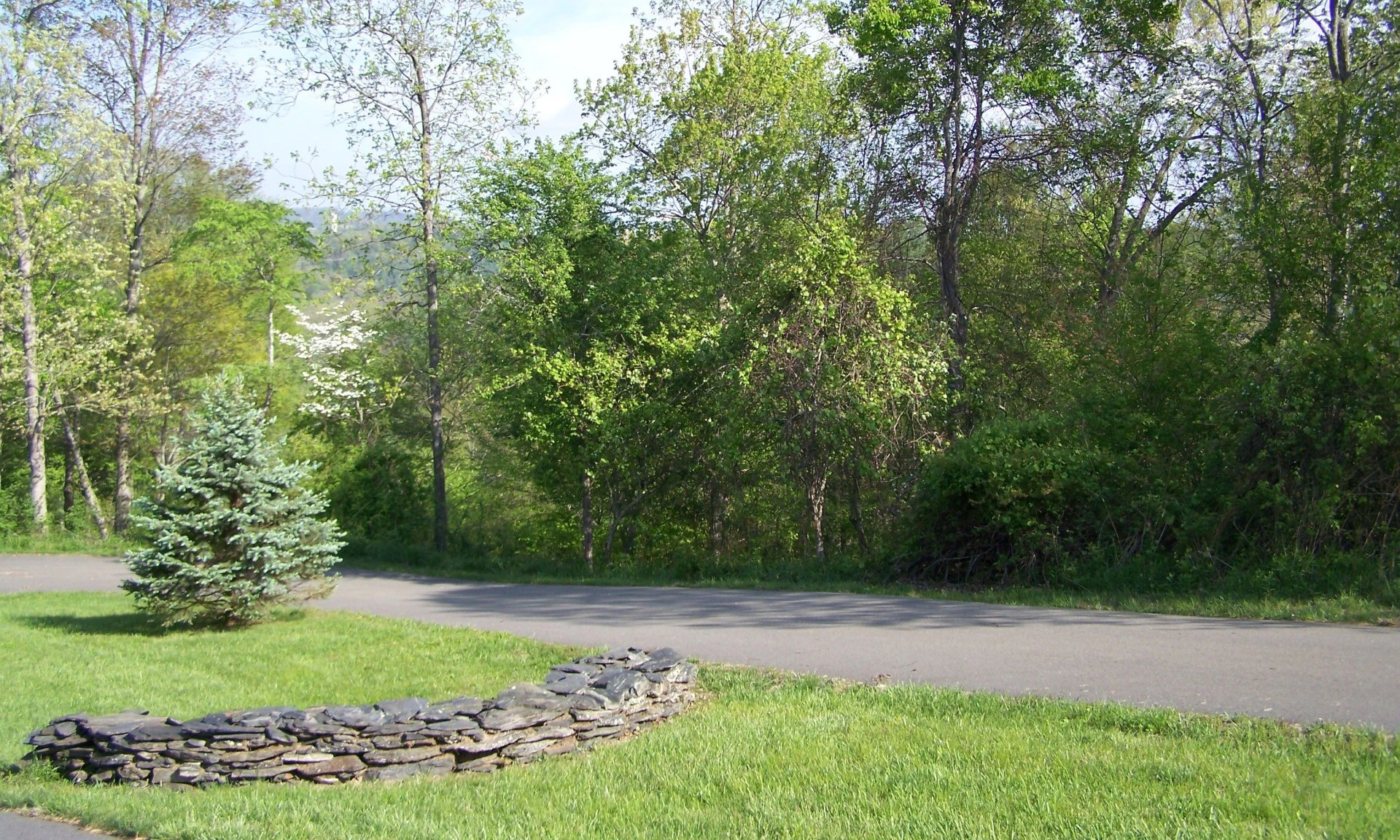 Image number 1 for the current listing