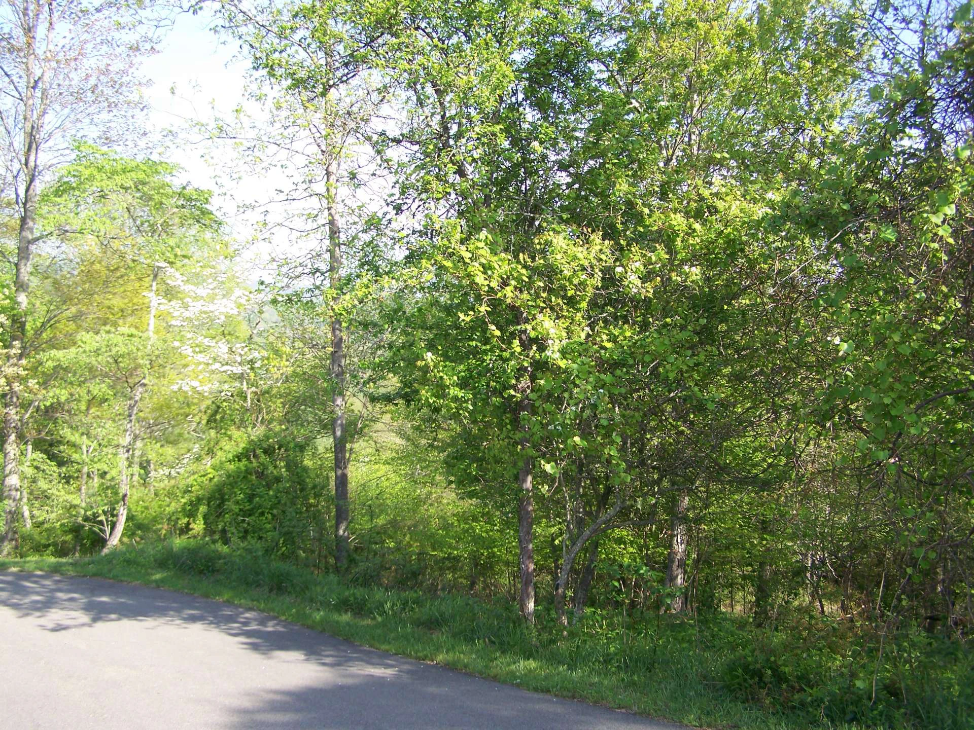Image number 5 for the current listing