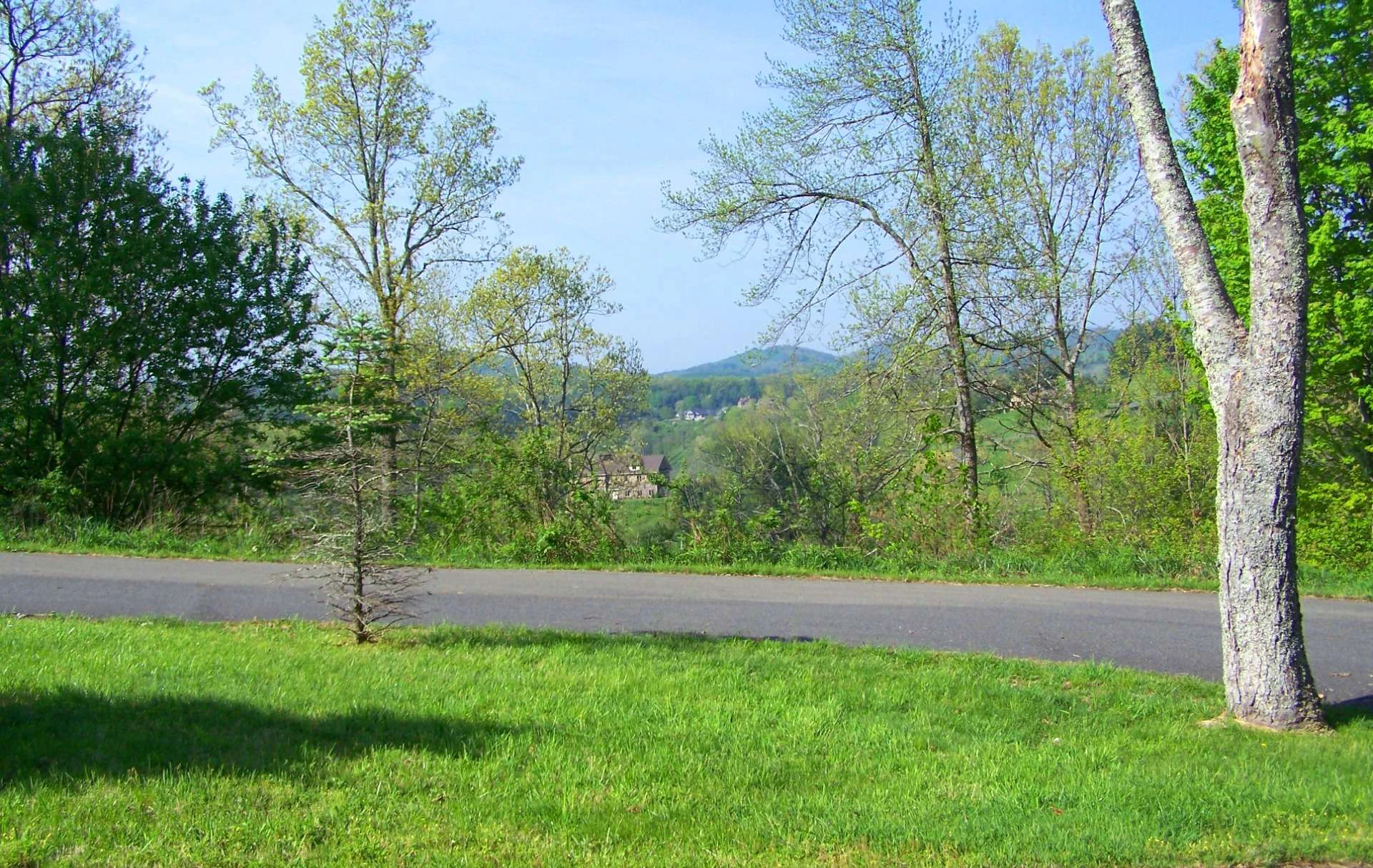 Image number 3 for the current listing