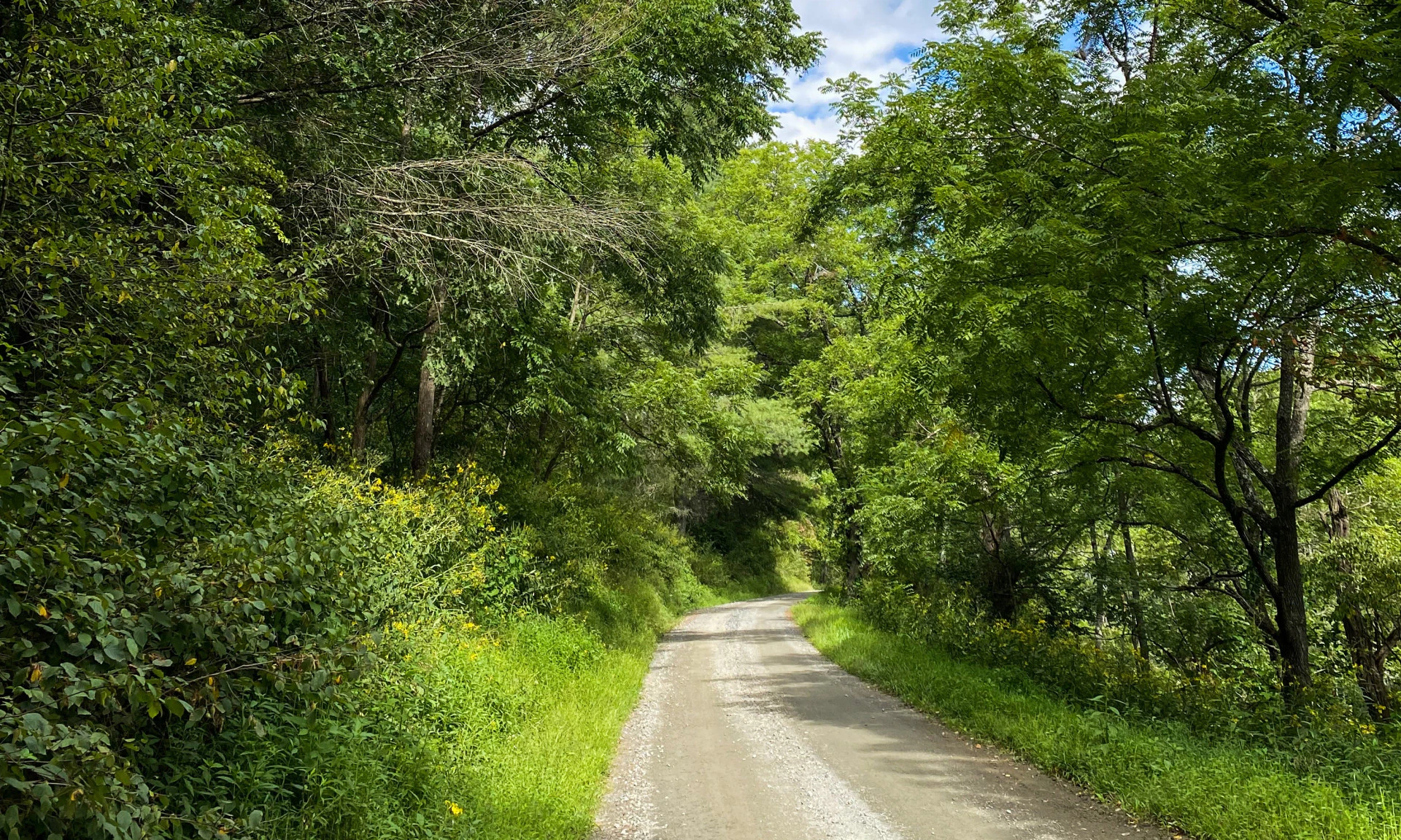 Image number 1 for the current listing