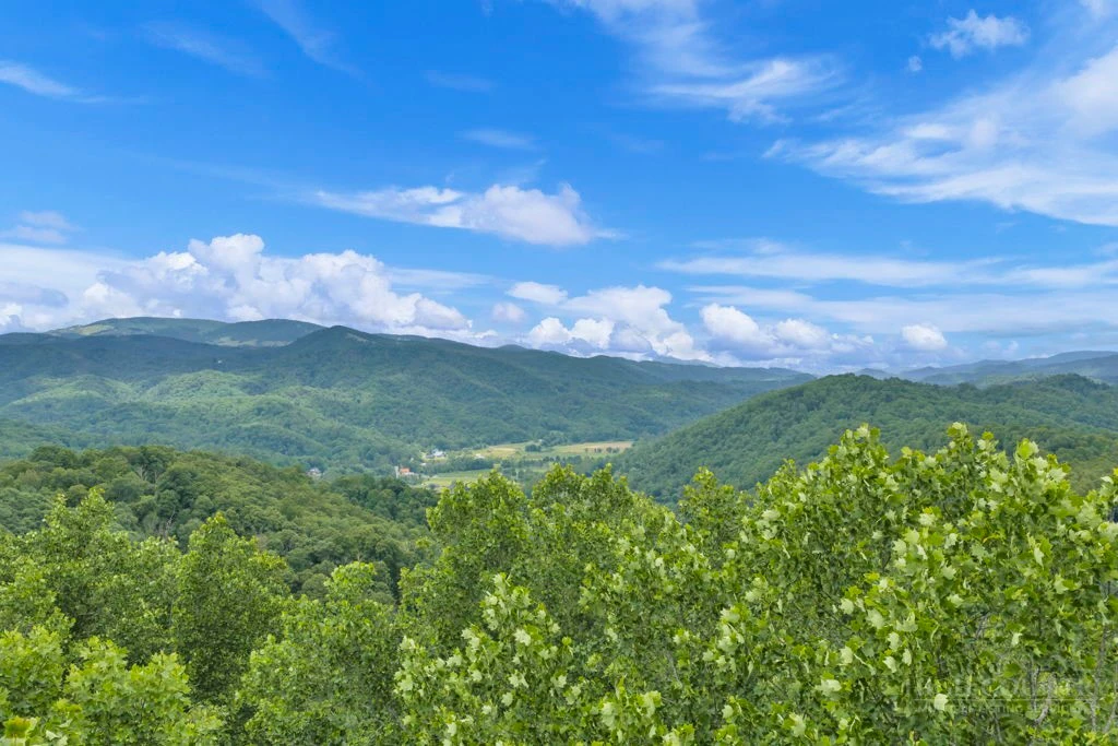 Image number 2 for the current listing