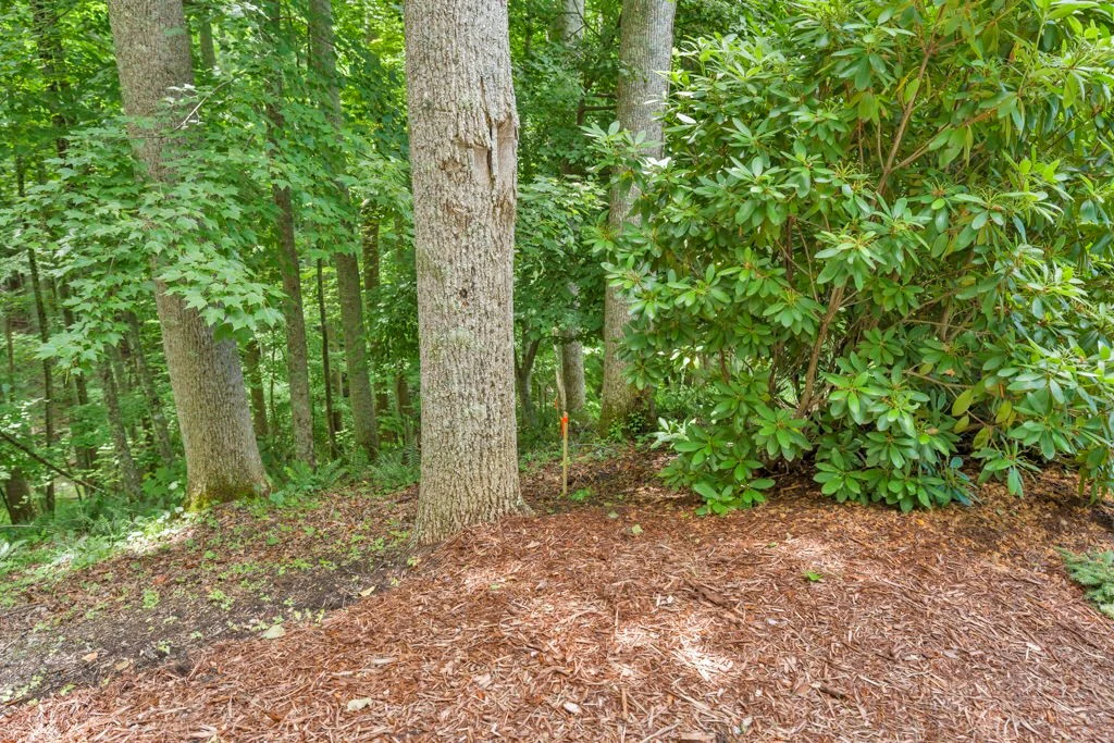 Image number 3 for the current listing