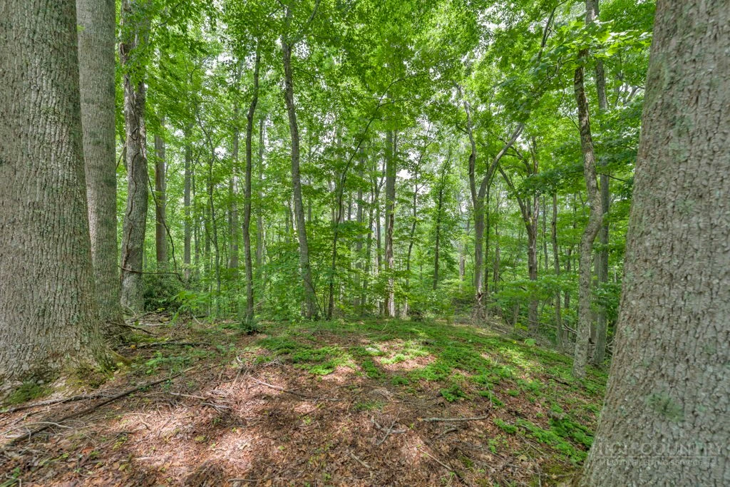 Image number 5 for the current listing