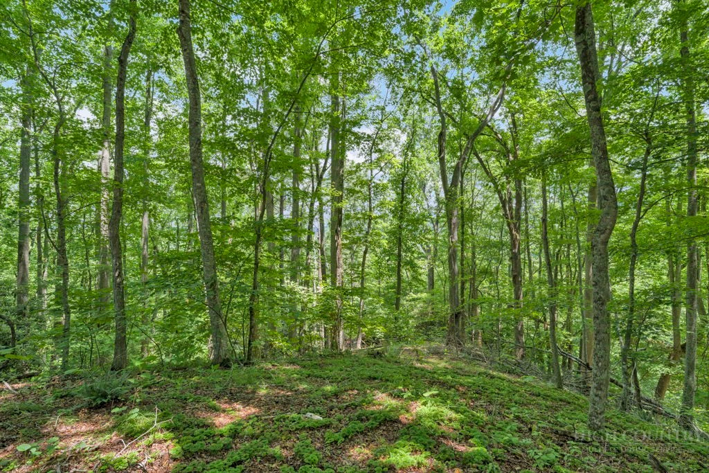 Image number 6 for the current listing