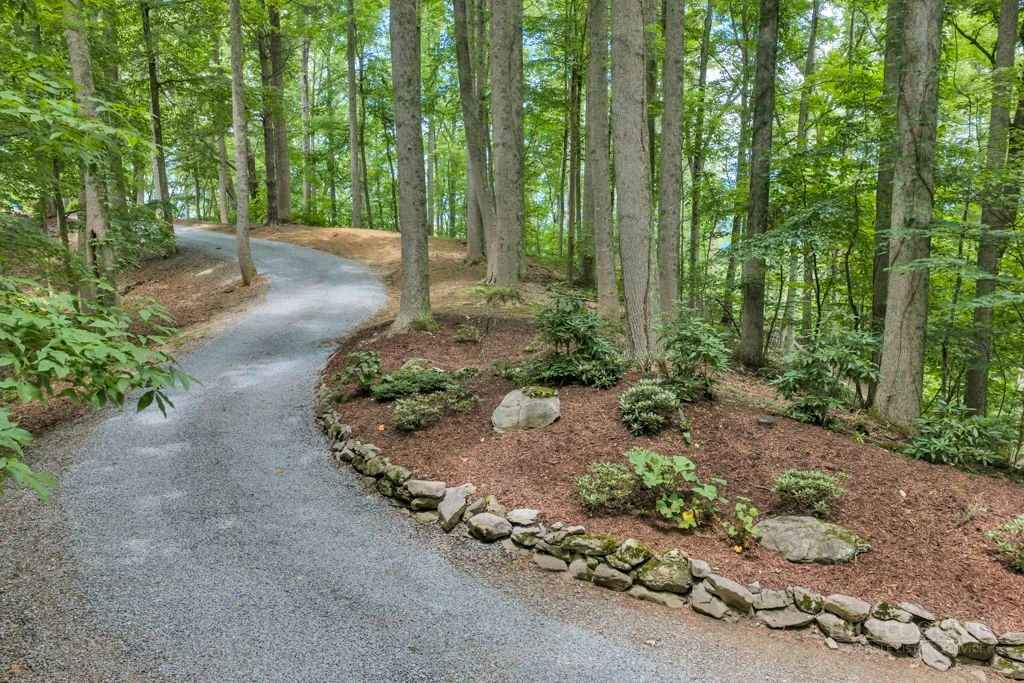 Image number 9 for the current listing