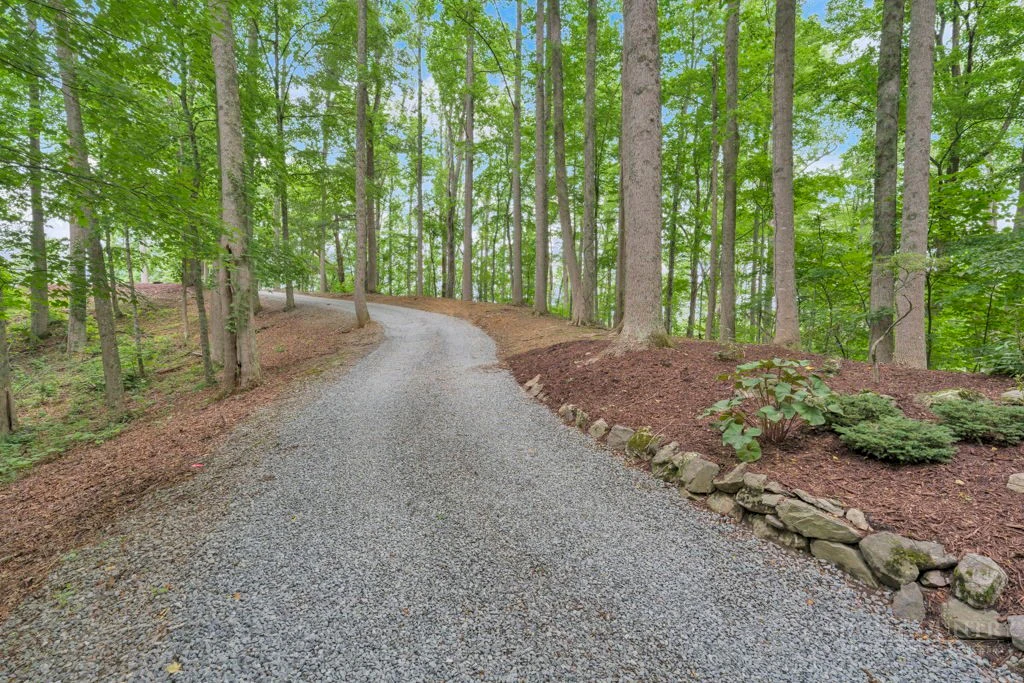 Image number 11 for the current listing