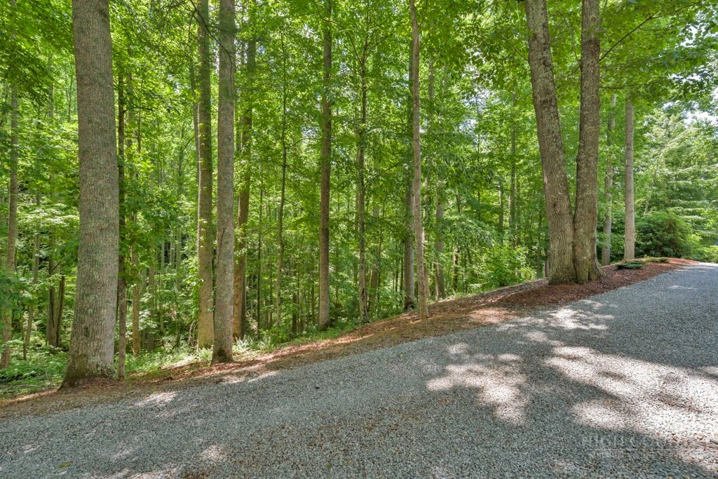 Image number 12 for the current listing