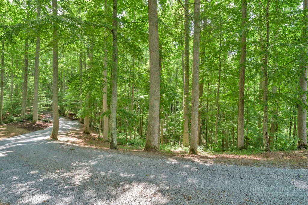 Image number 13 for the current listing