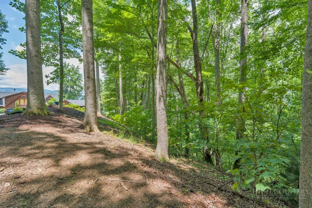 Image number 14 for the current listing