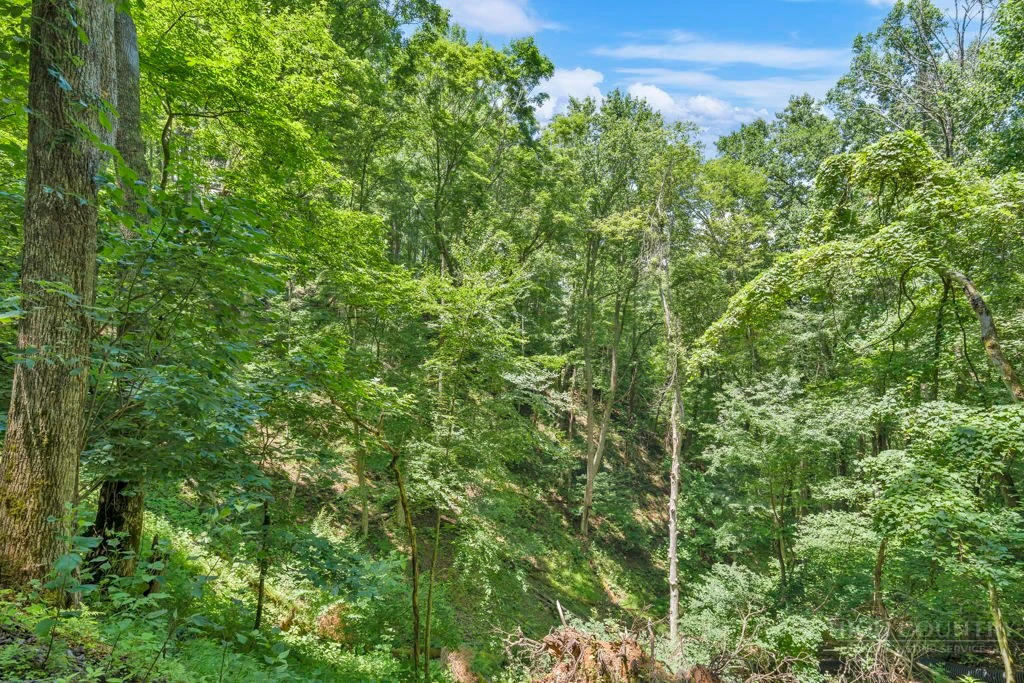 Image number 17 for the current listing