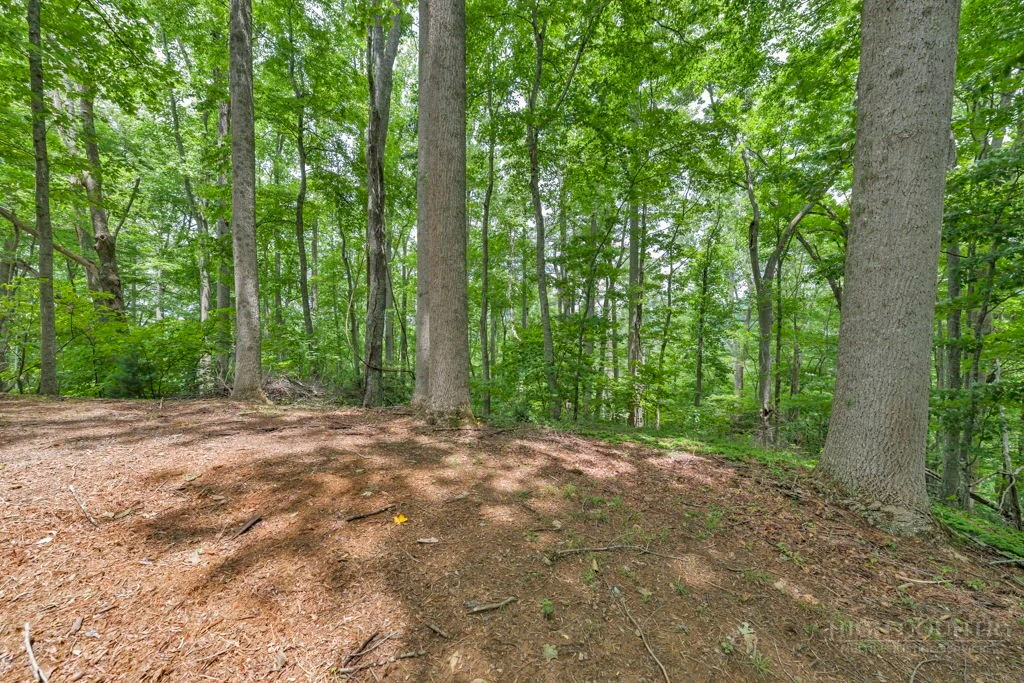 Image number 18 for the current listing