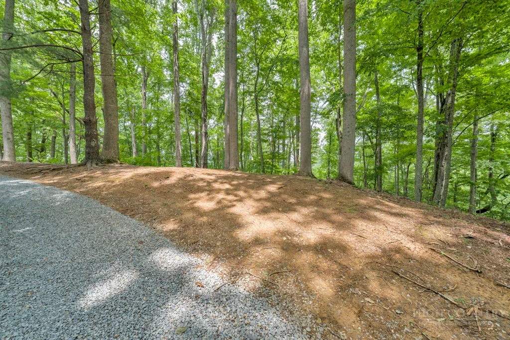 Image number 19 for the current listing