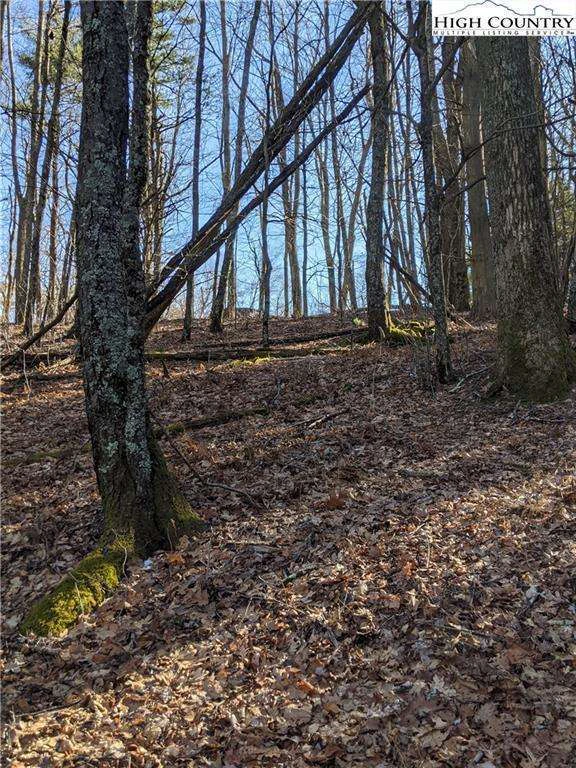 Image number 6 for the current listing