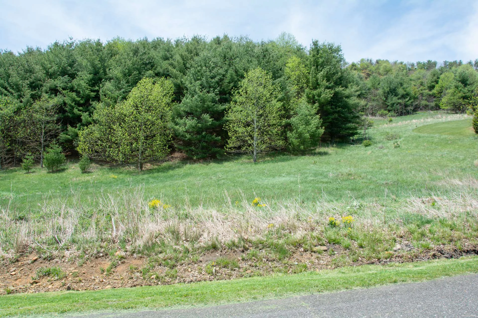 Image number 4 for the current listing