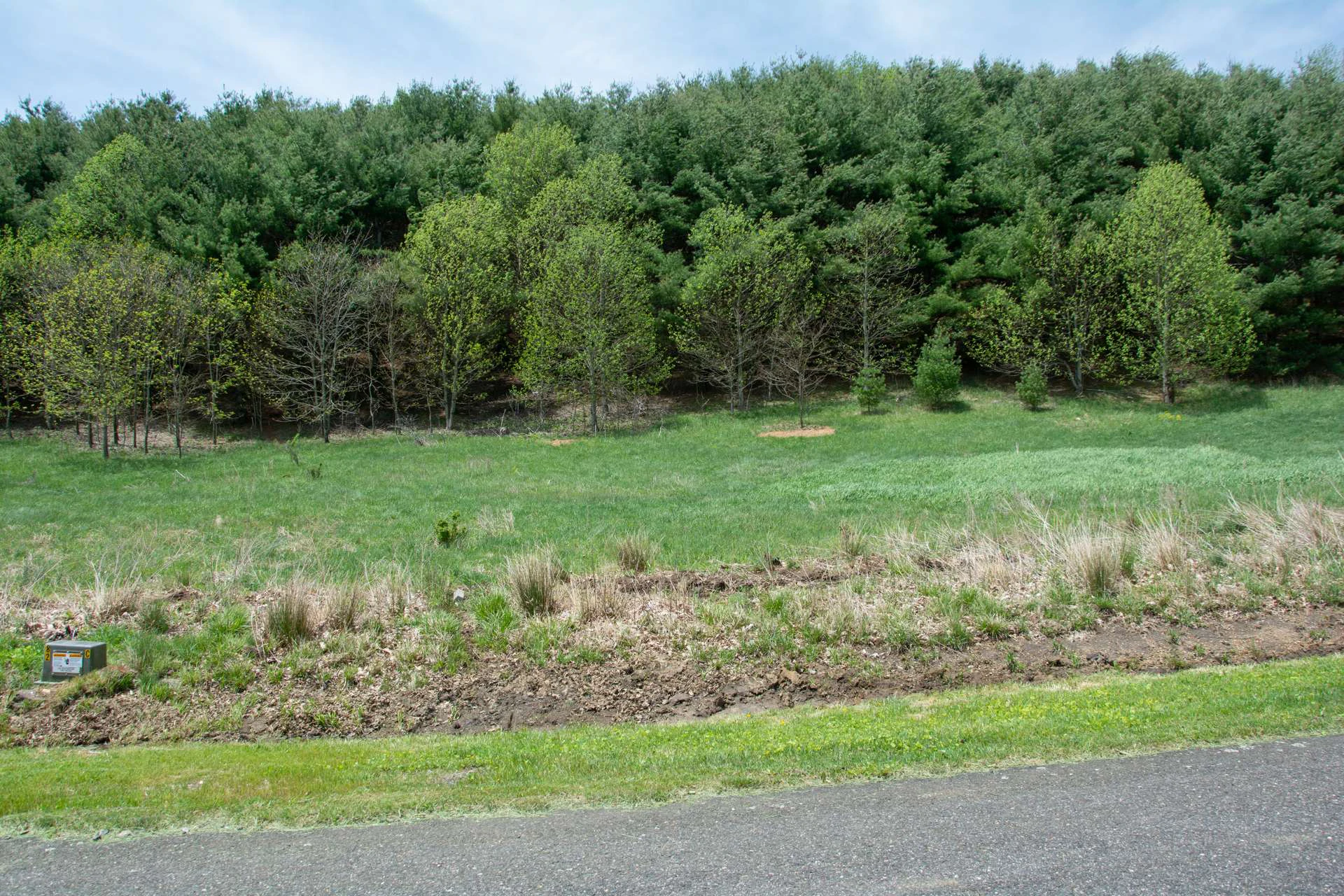 Image number 5 for the current listing