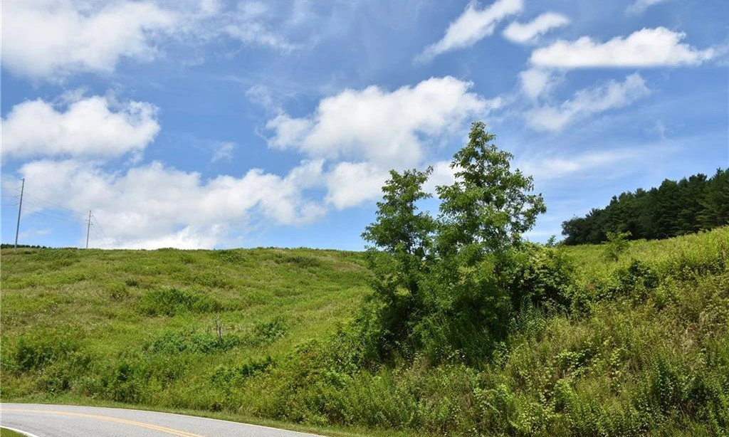 Image number 1 for the current listing