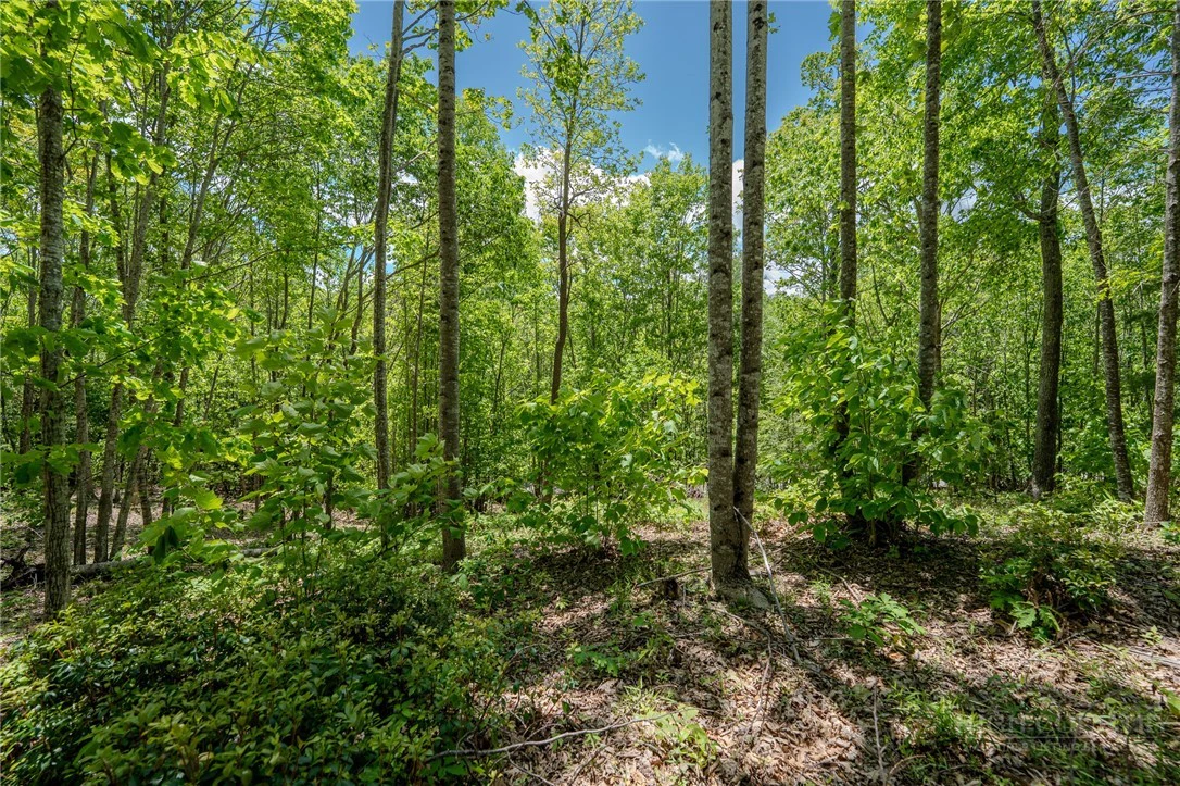 Image number 1 for the current listing