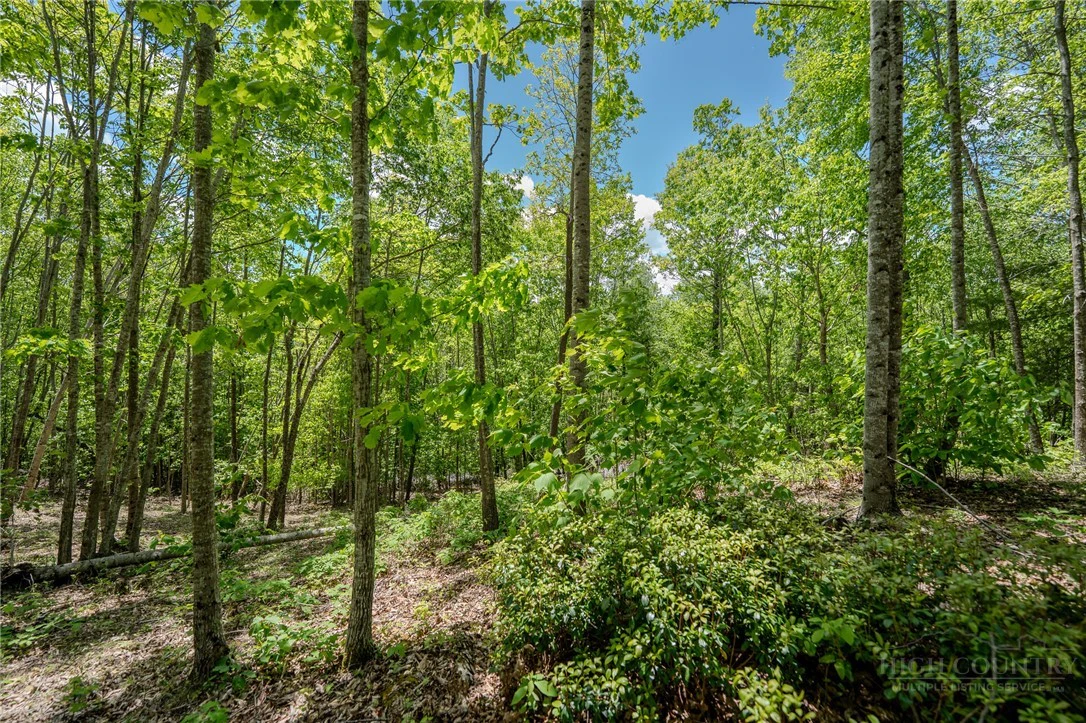 Image number 3 for the current listing