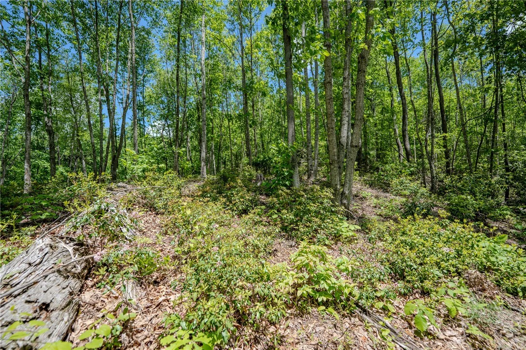 Image number 4 for the current listing