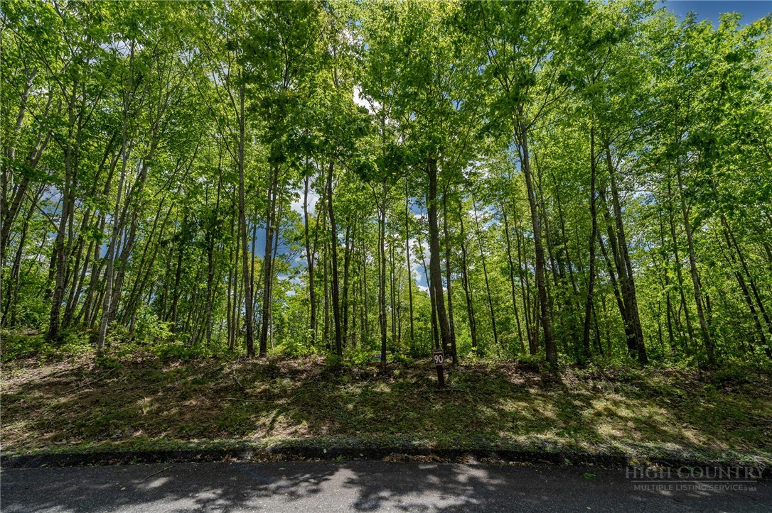 Image number 5 for the current listing