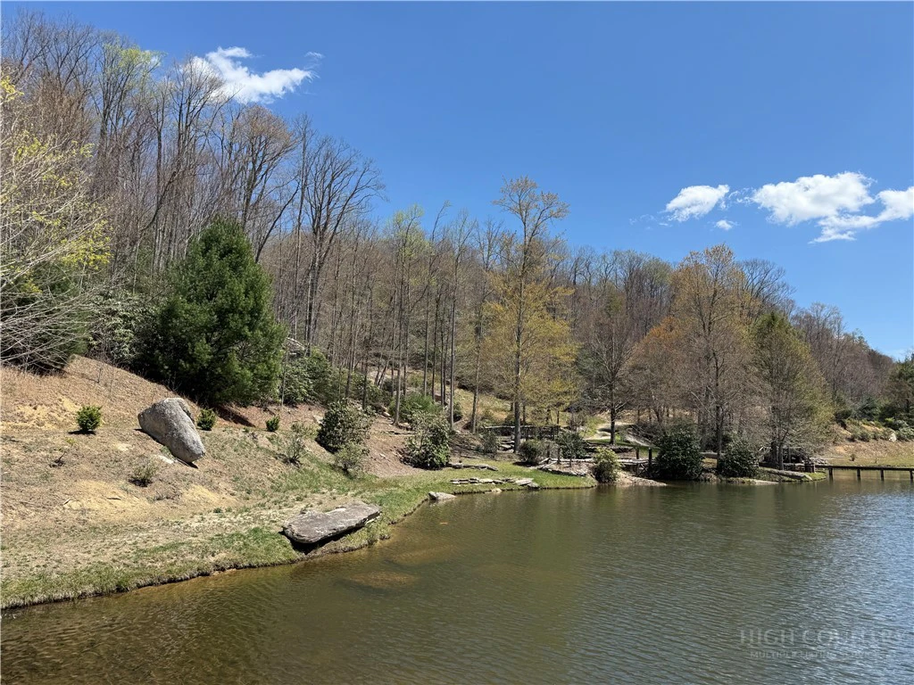 Image number 6 for the current listing